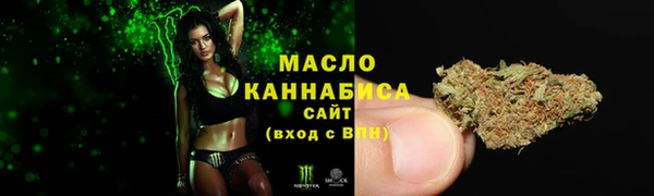 эйфоретик Гусев