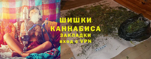 эйфоретик Гусев