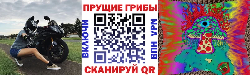 Галлюциногенные грибы мухоморы  OMG ссылки  Нальчик  где найти наркотики 